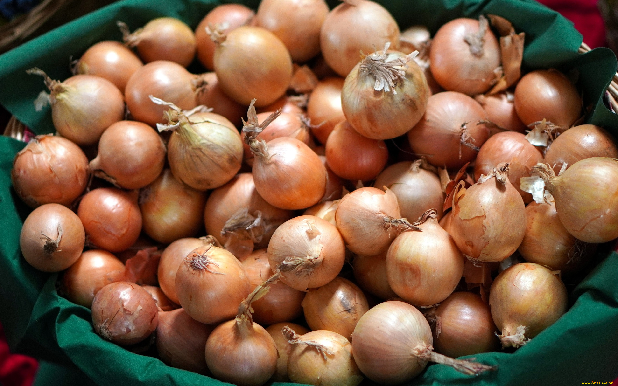 ���, ���, ��������, �����, ������